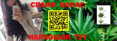 гидра Гусь-Хрустальный