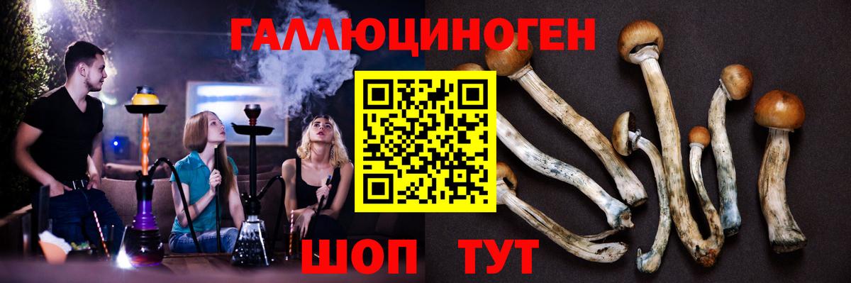 Михайловка  как найти наркотики  Вход с VPN  Галлюциногенные грибы Cubensis 