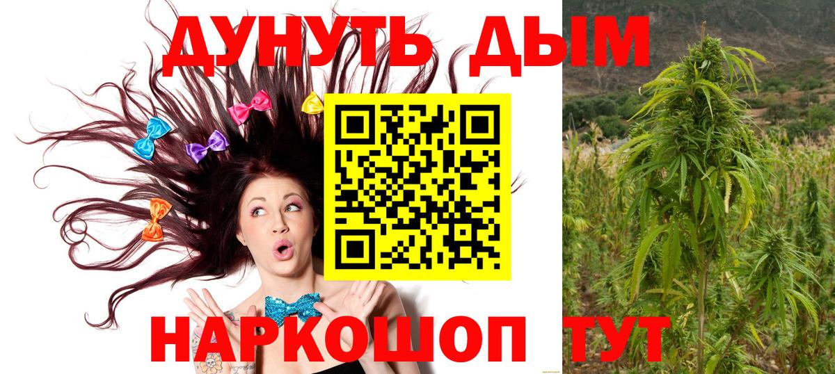 Канабис White Widow Михайловка